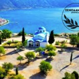  Με συμμετοχή πρωταθλητών ο 8ος «Ξενοδάμειος Δρόμος». Εγγραφές έως 15/9